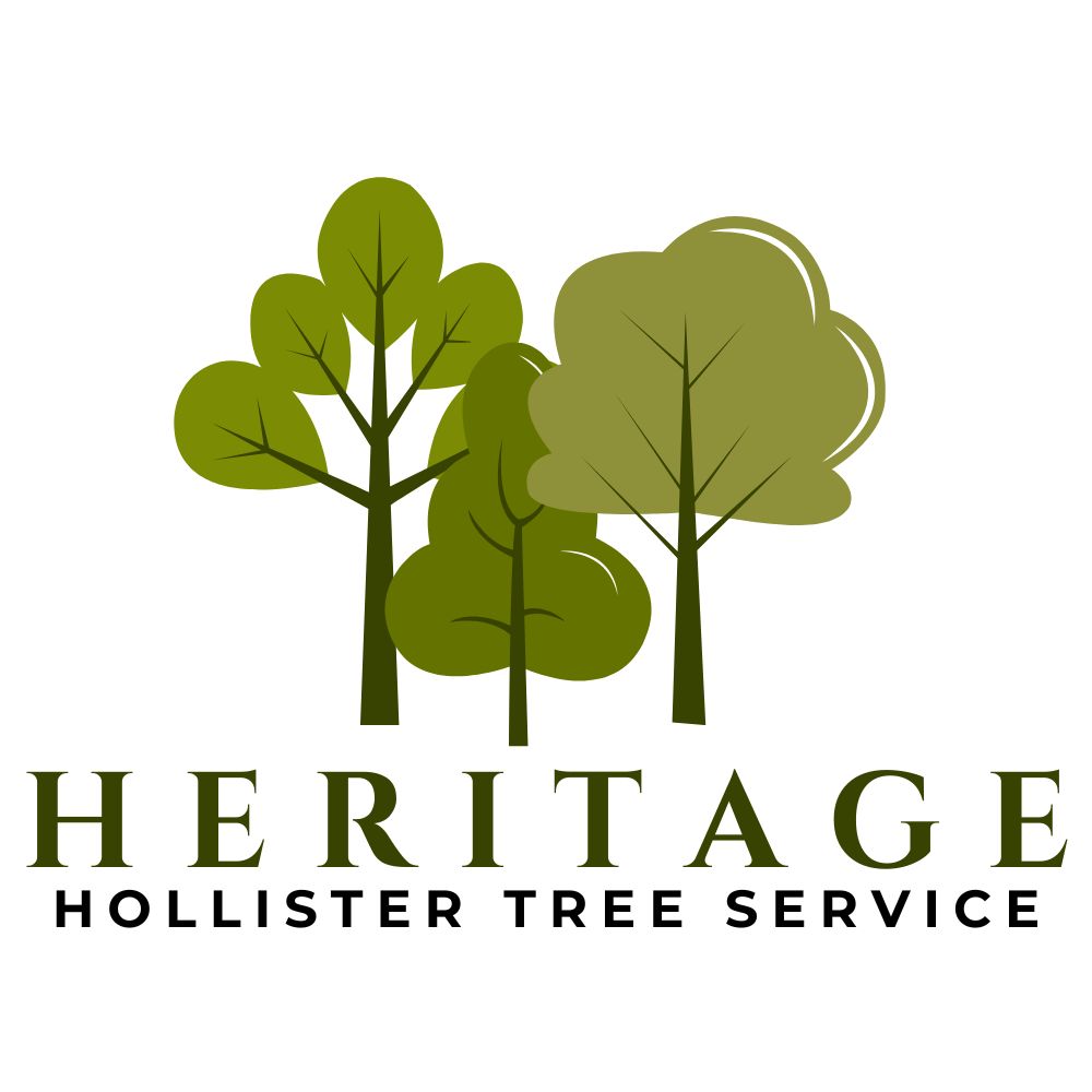 Heritage Hollister Tree Service